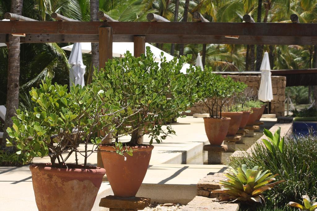 Casa 10 -Txai Resort Itacaré Esterno foto